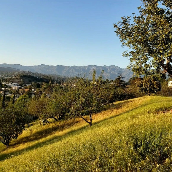 Meet your Posher - Picture 4 of 4